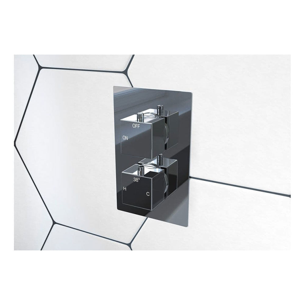 Serpentis Shower Pack - Single Outlet - Twin Shower Handle Shower Valve image 2