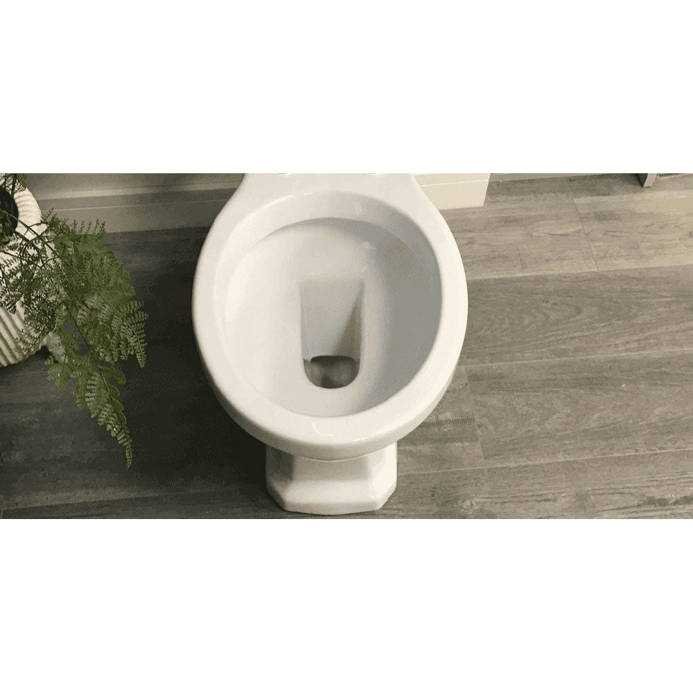 Victorian Style Back To Wall With Sea Green Soft Close Seat image 4