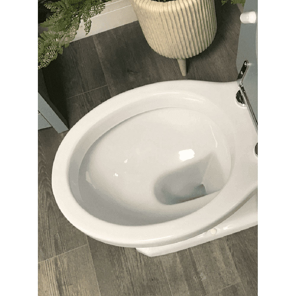 Victorian Style Close Coupled Toilet With Grey Ash Soft Close Seat image 3