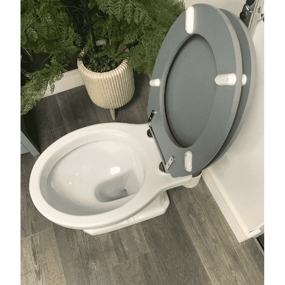 Victorian Style Low Level With Sea Green Soft Close Seat image 4