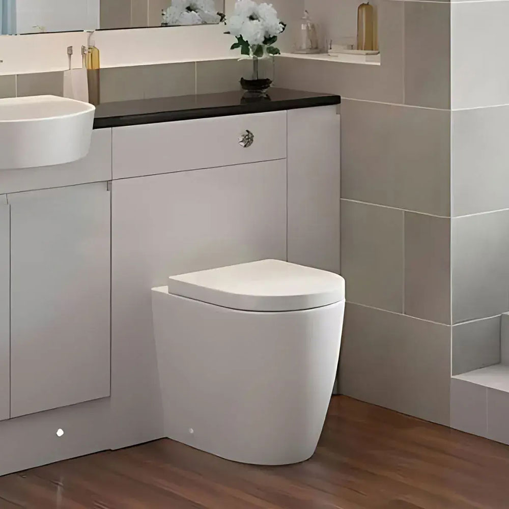 Aquila Back To Wall Toilet With Soft Close Seat image