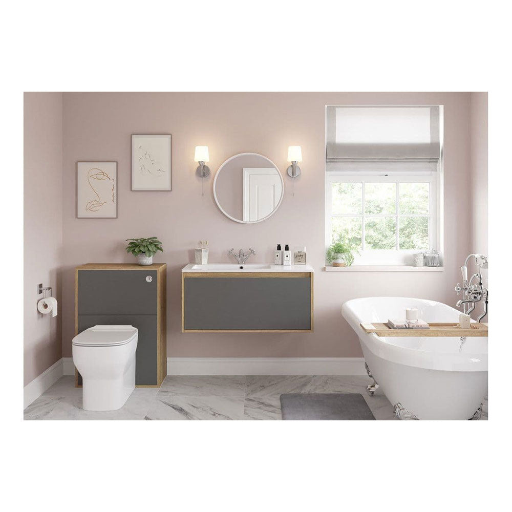 Regors Back To Wall Toilet With Soft Close Seat image 1