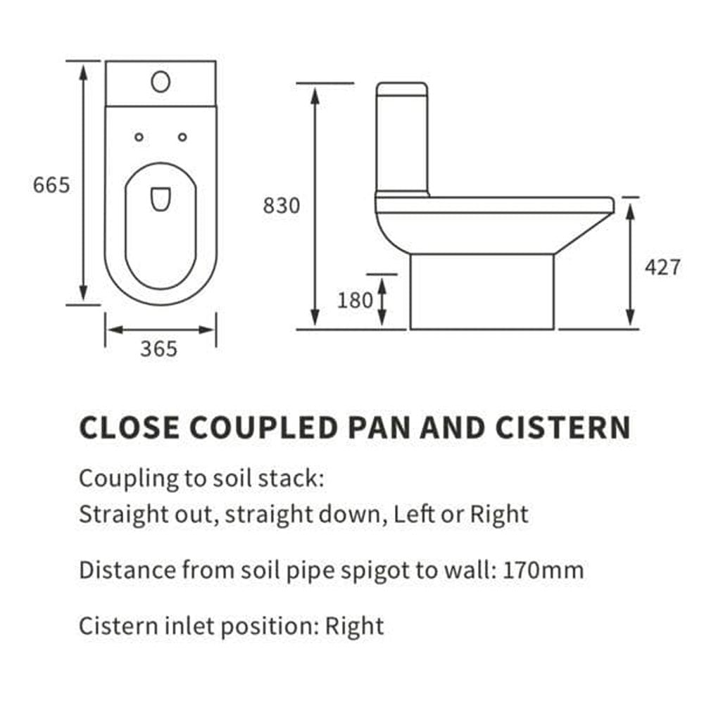 Serpens Toilet with Optional Colour WC Push Button image 2