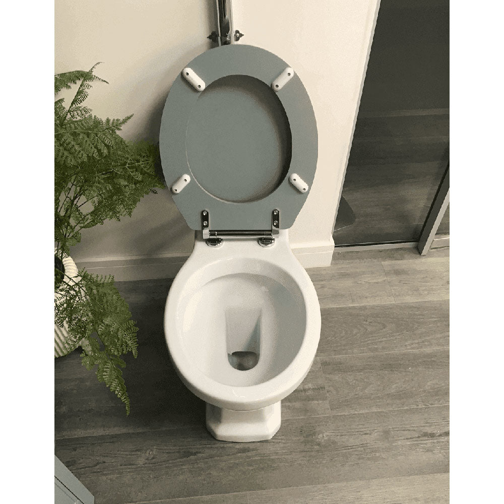 Victorian Style Low Level With Sea Green Soft Close Seat image 6